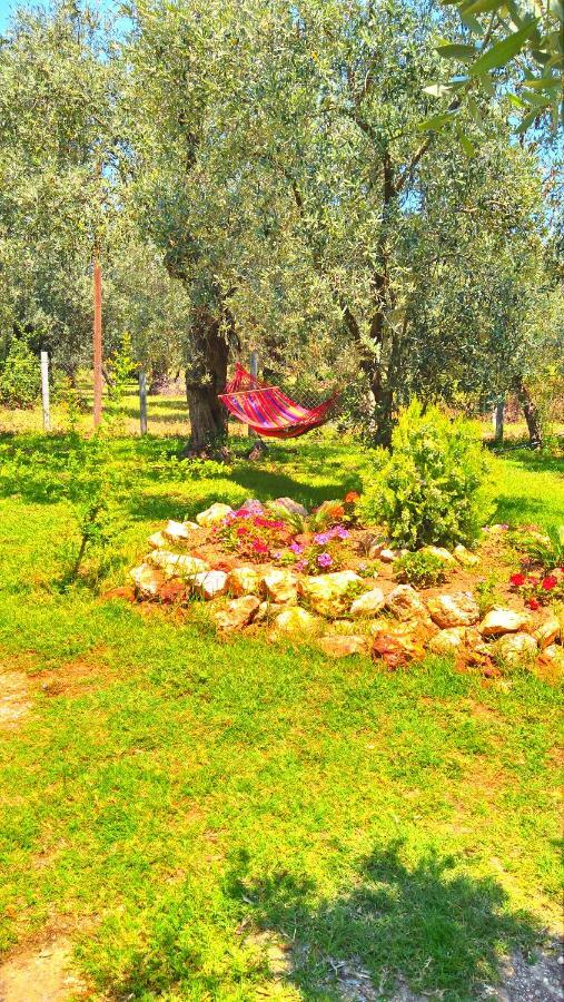 Sunray Separate Villa Skala Sotiros Exterior photo